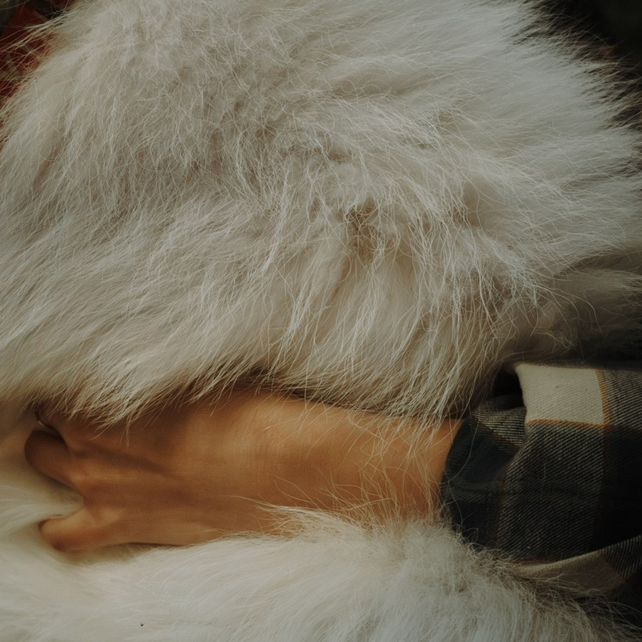 Отзывы. Фотограф-анималист в Москве Екатерина Тихонова