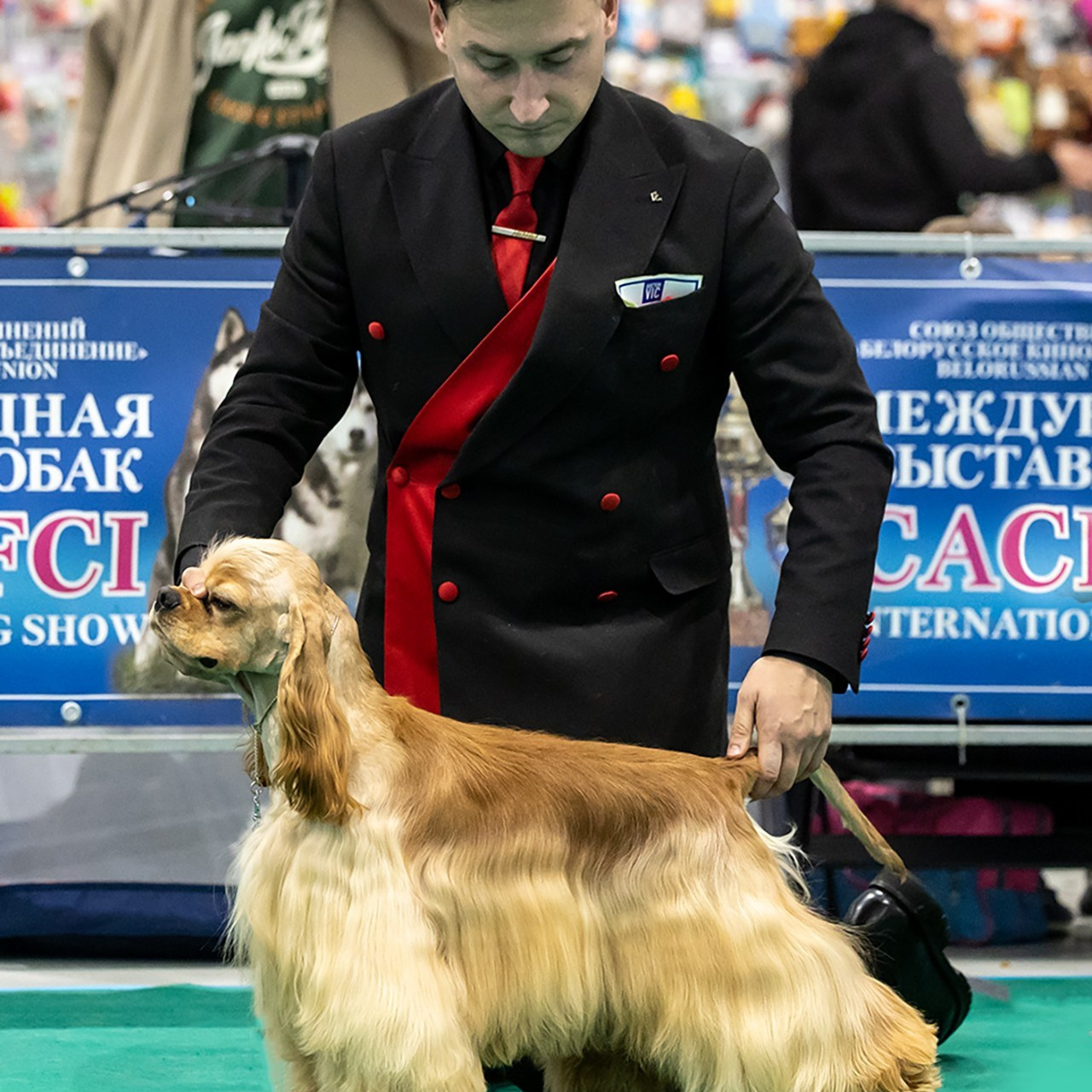 Отзывы. Борис Артамонов фотограф — анималист. Москва