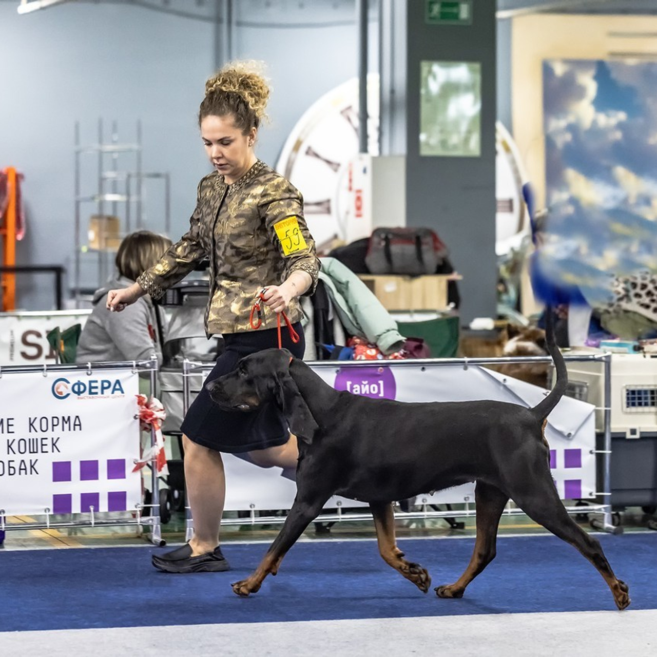 Отзывы. Борис Артамонов фотограф — анималист. Москва