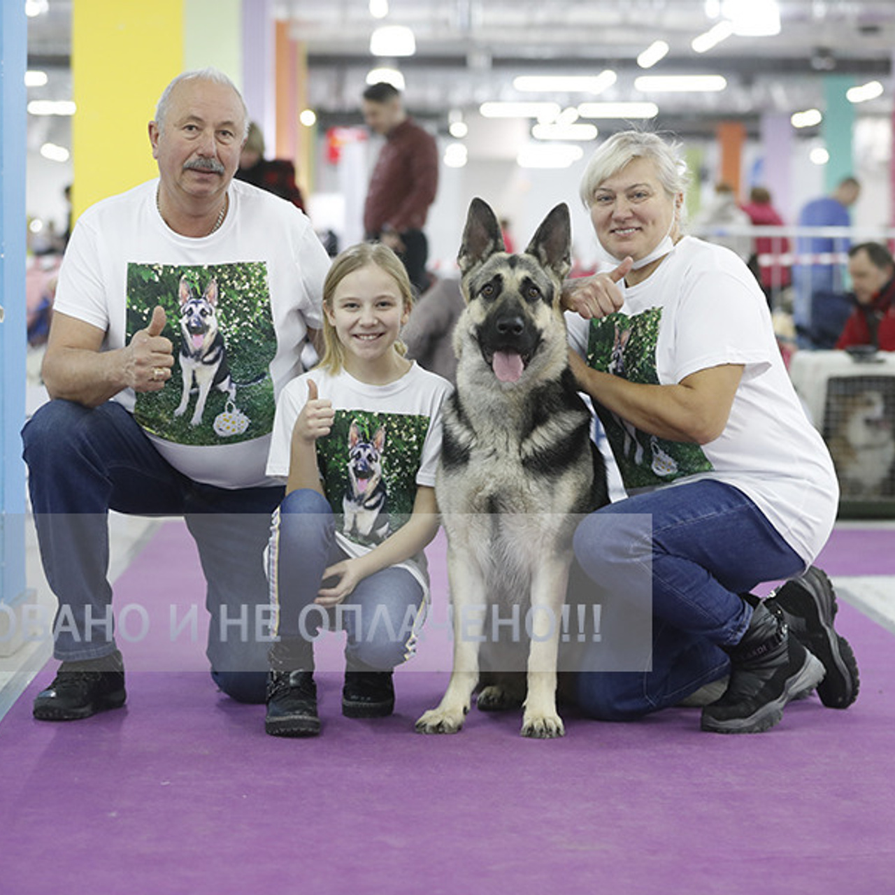 Отзывы. Борис Артамонов фотограф — анималист. Москва