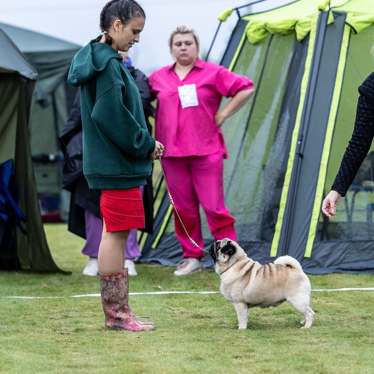 Отзывы. Борис Артамонов фотограф — анималист. Москва