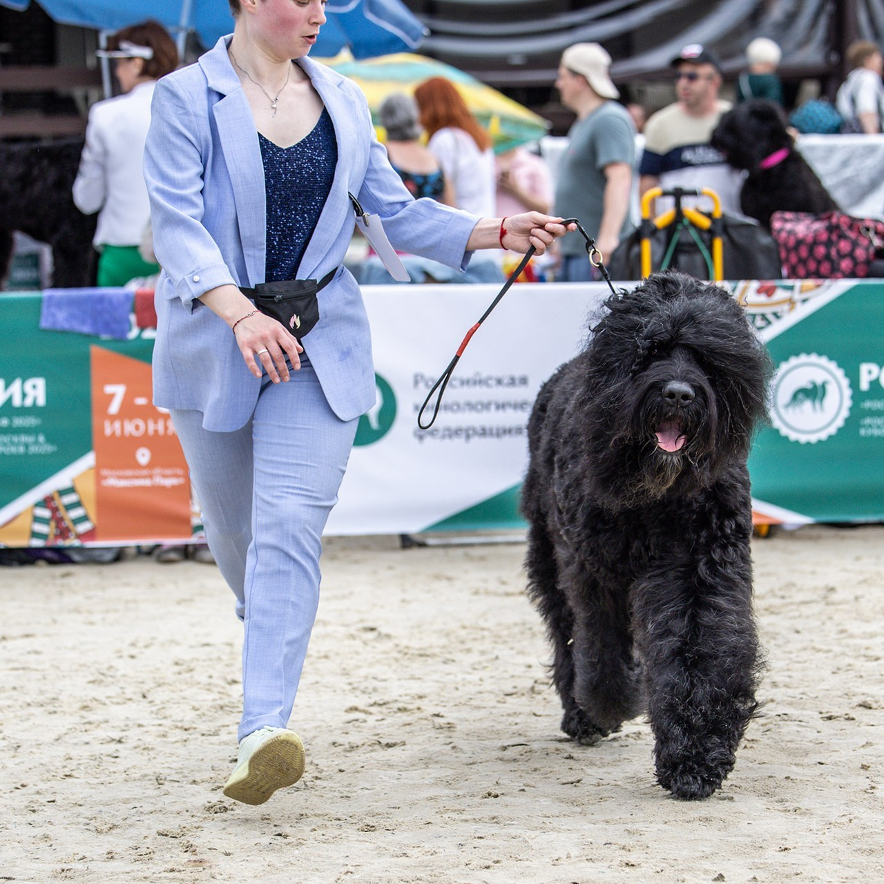 Отзывы. Борис Артамонов фотограф — анималист. Москва