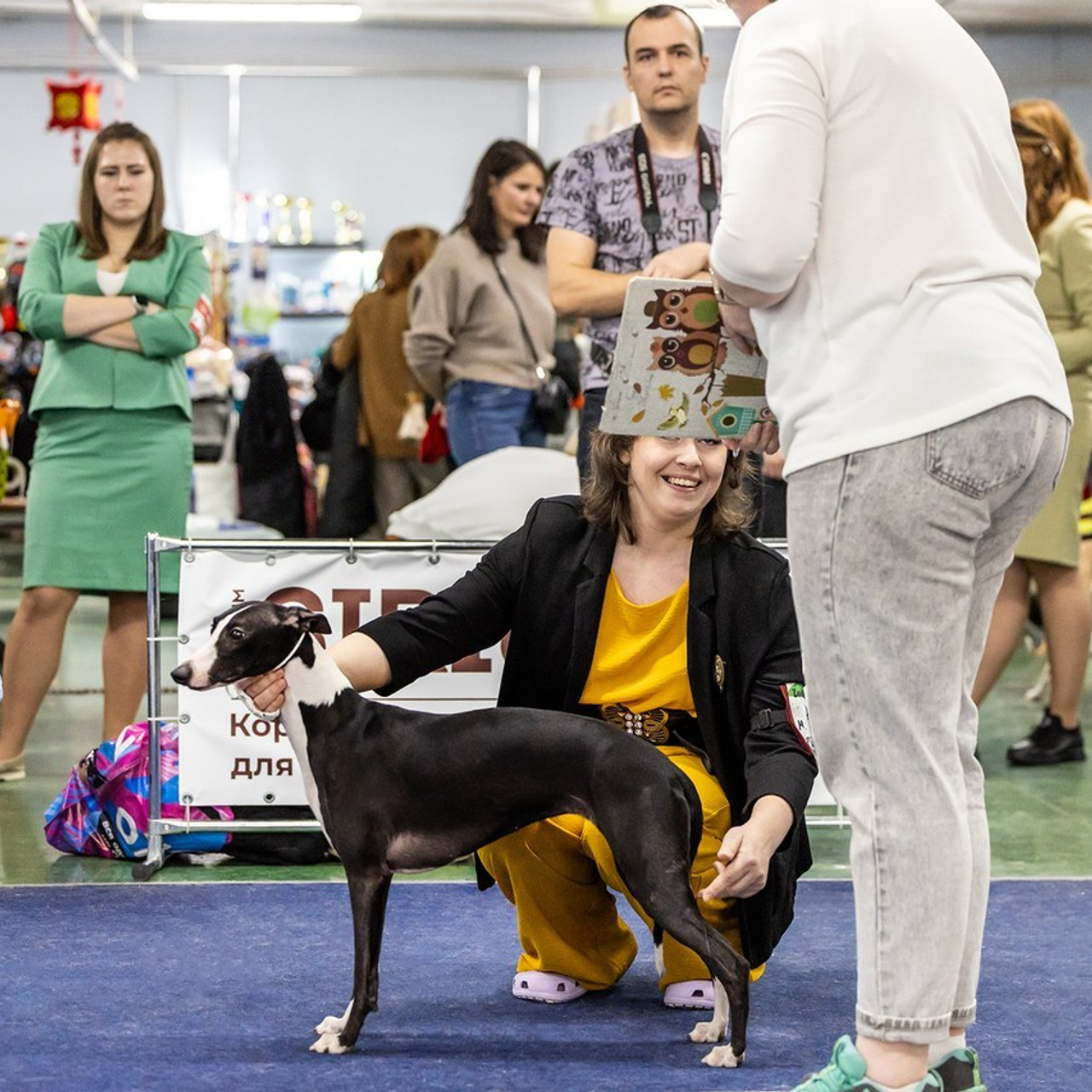 Отзывы. Борис Артамонов фотограф — анималист. Москва