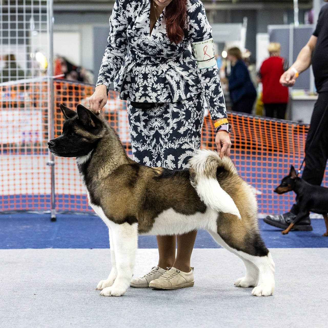 Отзывы. Борис Артамонов фотограф — анималист. Москва