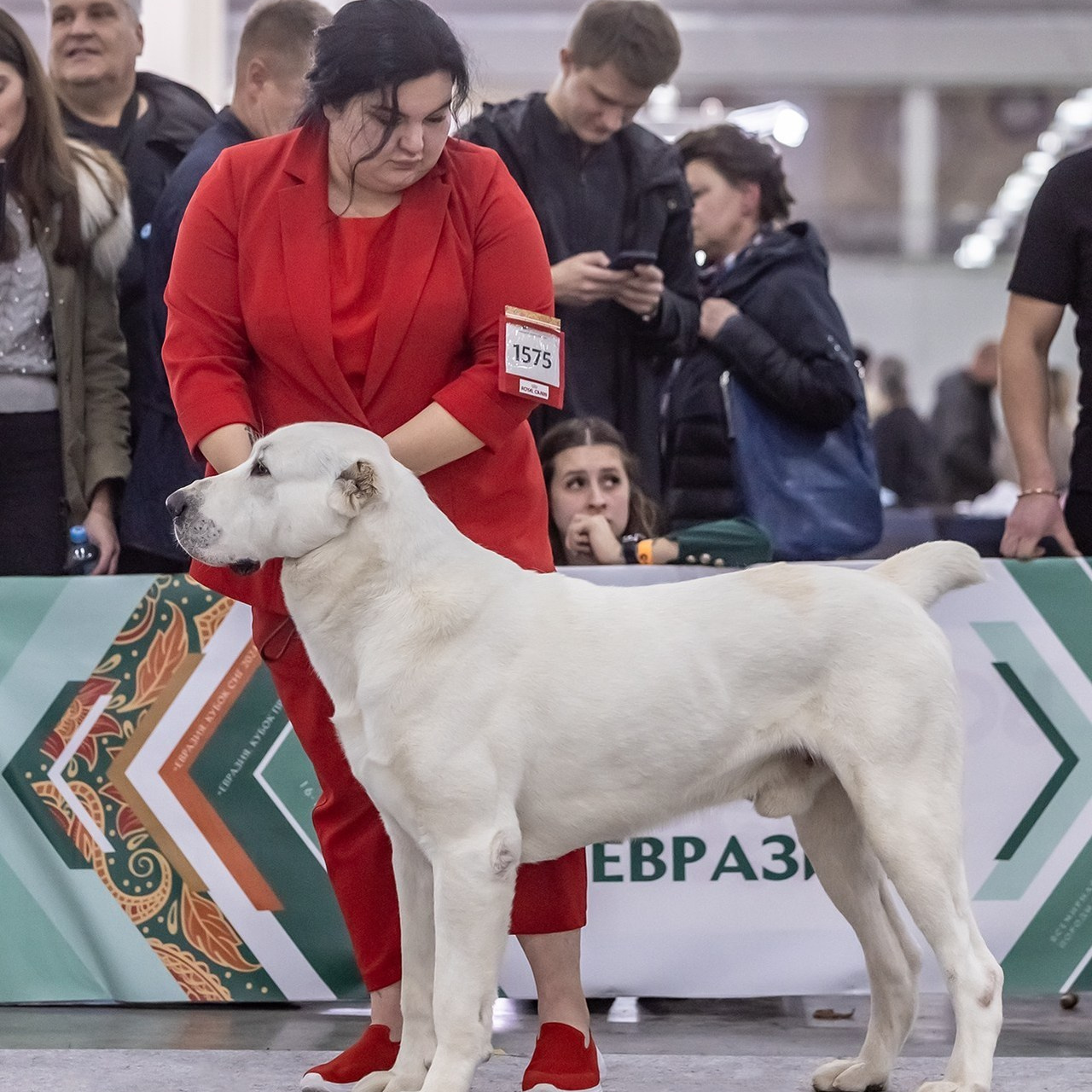 Отзывы. Борис Артамонов фотограф — анималист. Москва