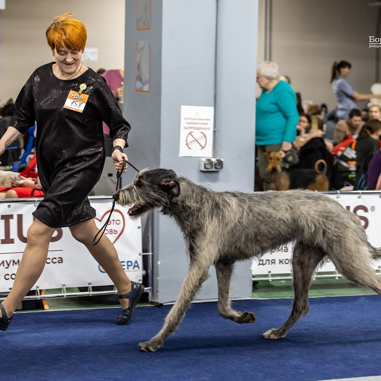 Отзывы. Борис Артамонов фотограф — анималист. Москва