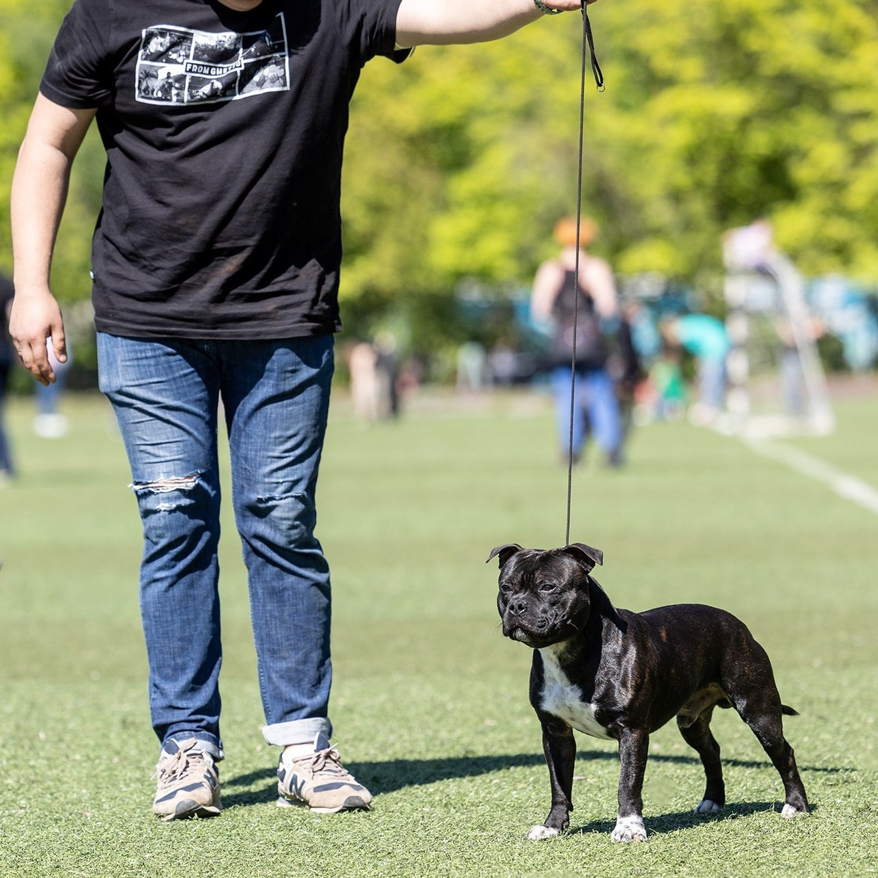 Отзывы. Борис Артамонов фотограф — анималист. Москва