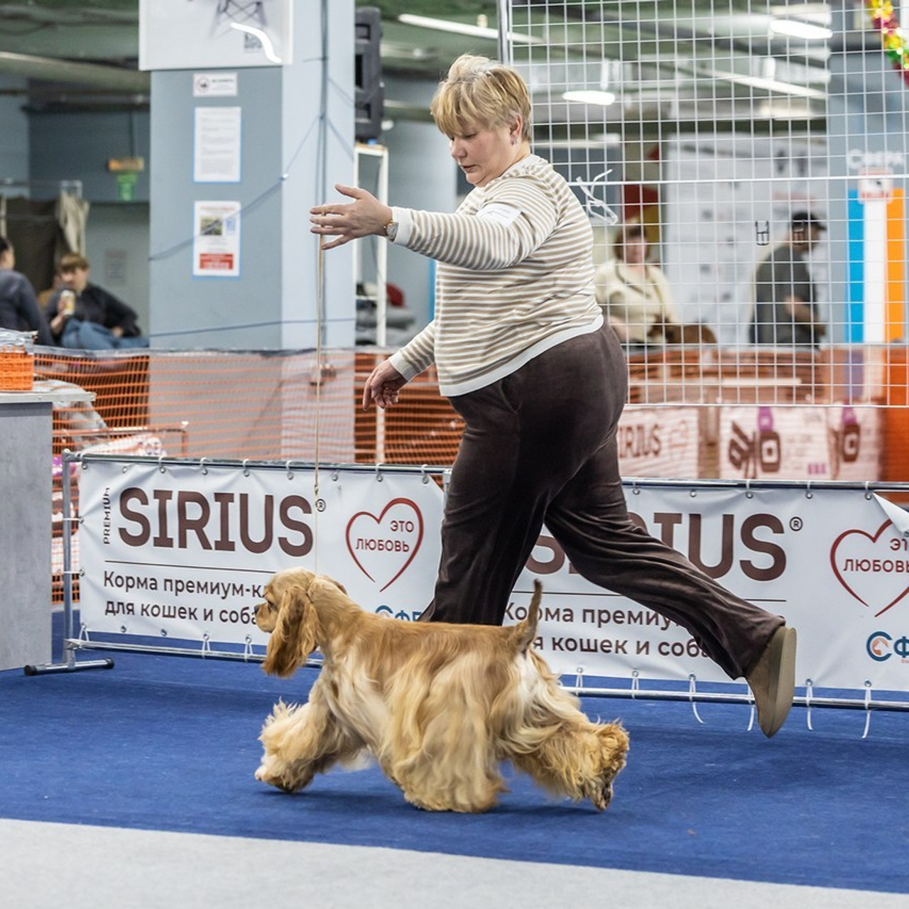 Отзывы. Борис Артамонов фотограф — анималист. Москва