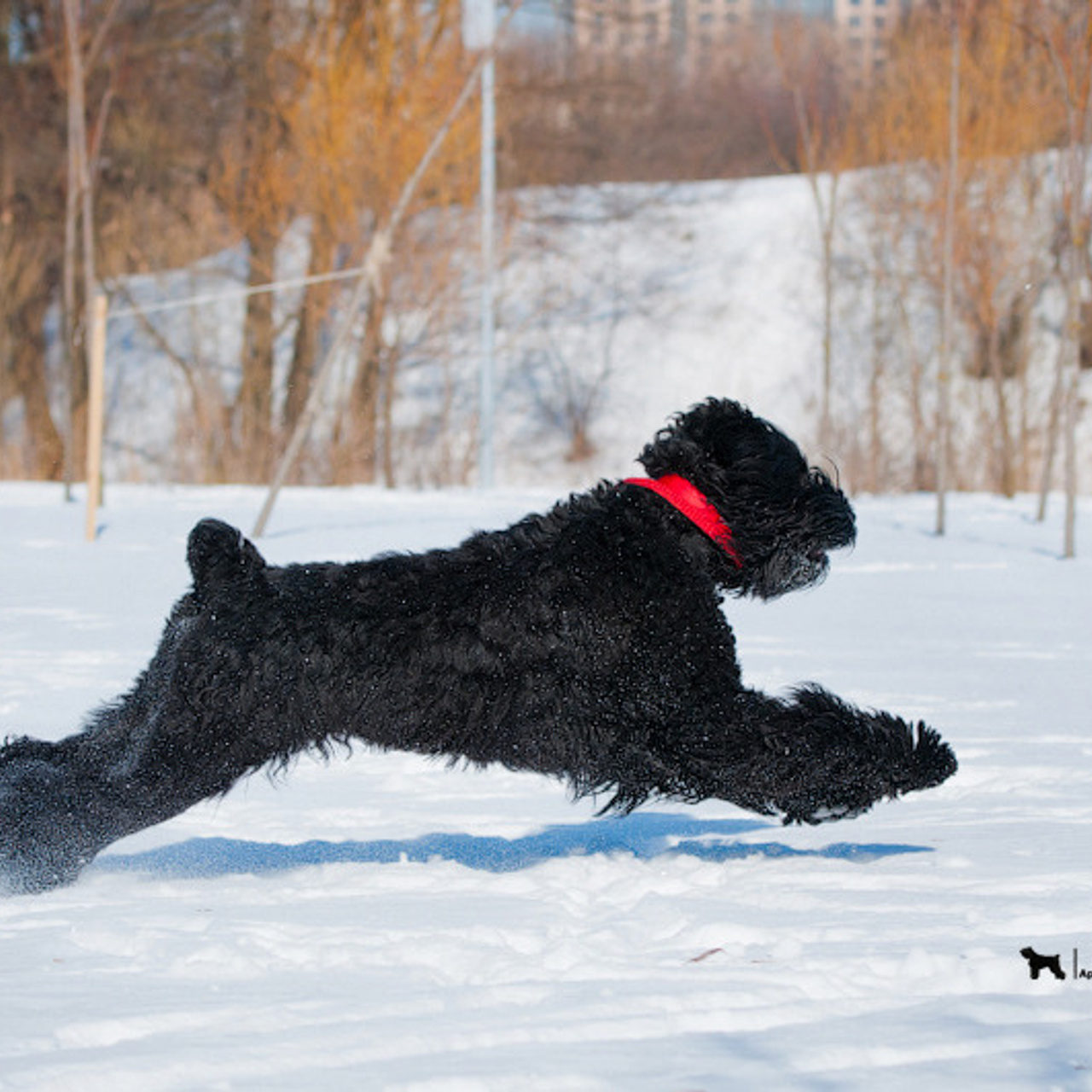 В ДВИЖЕНИИ
