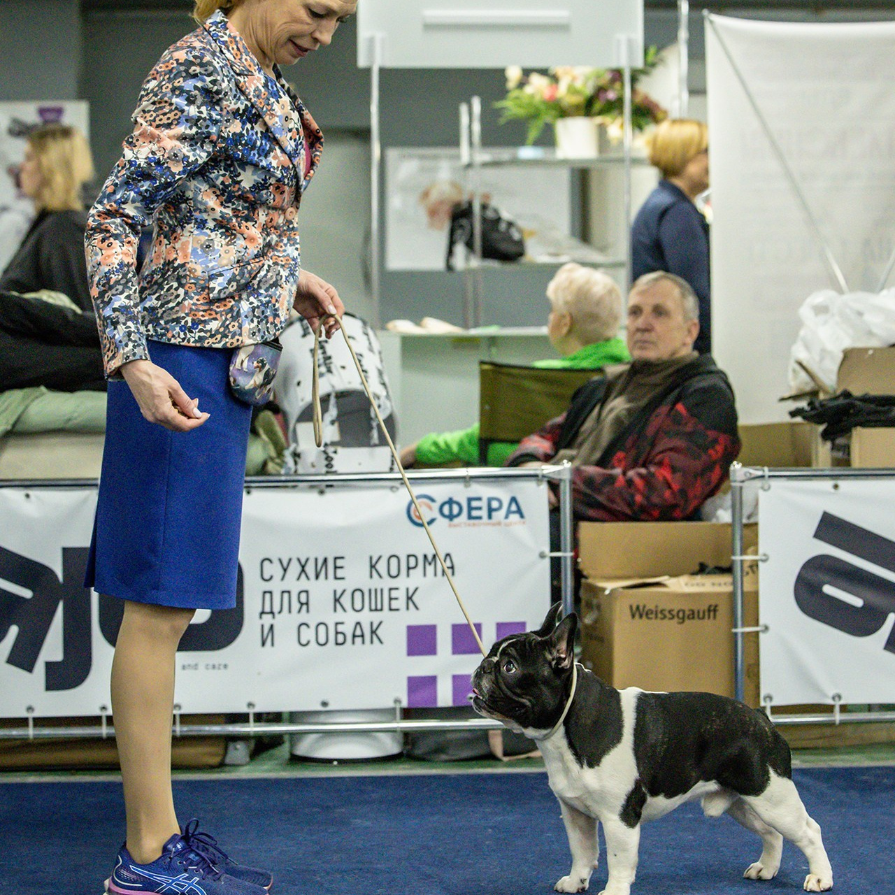 Отзывы. Борис Артамонов фотограф — анималист. Москва