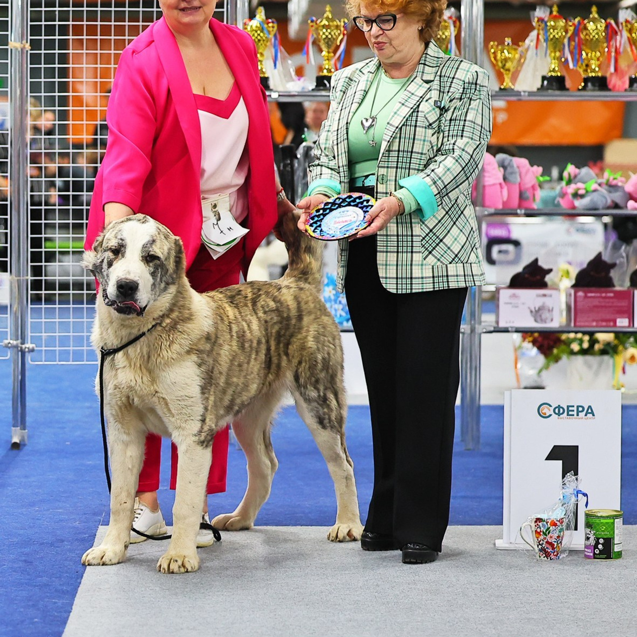 Отзывы. Борис Артамонов фотограф — анималист. Москва
