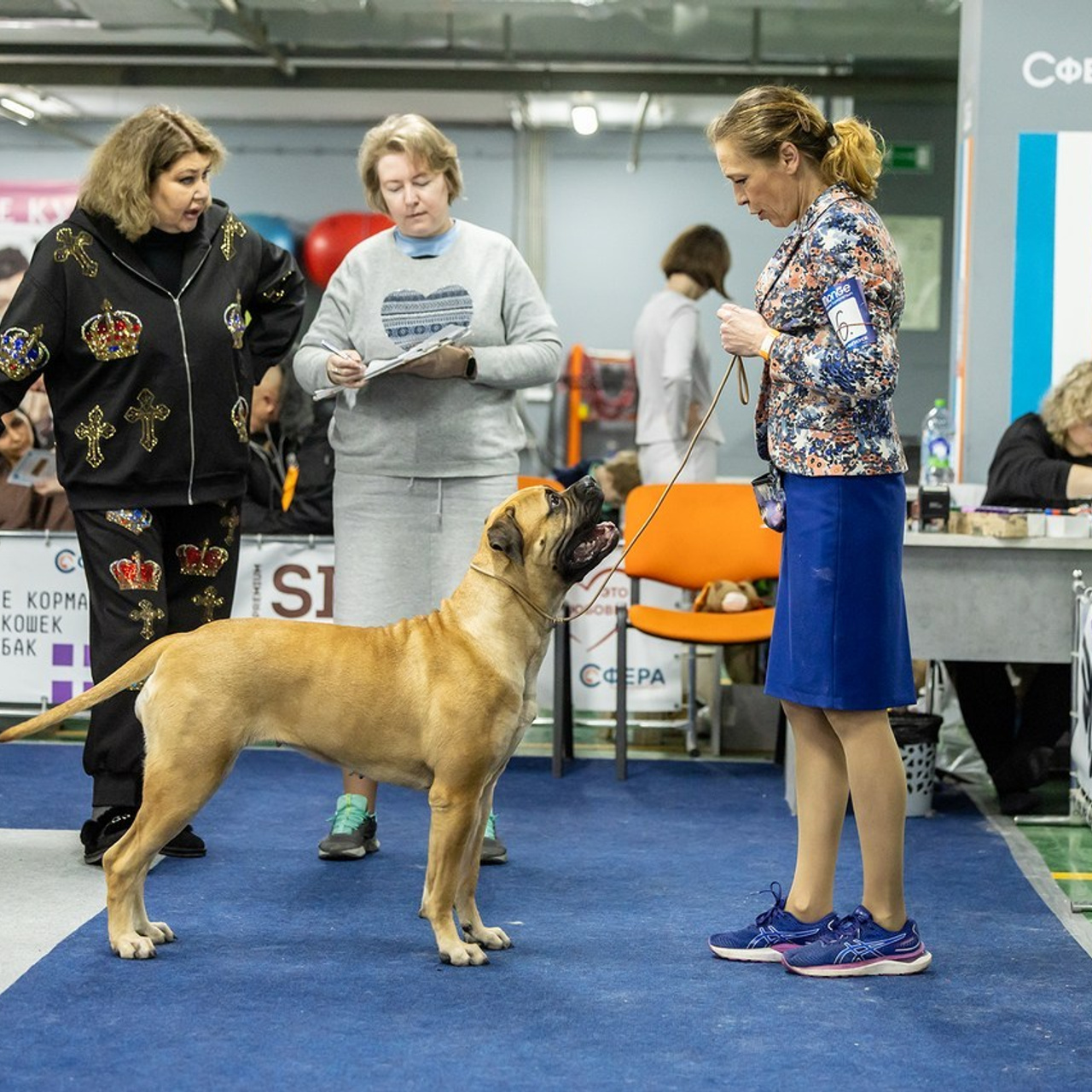 Отзывы. Борис Артамонов фотограф — анималист. Москва