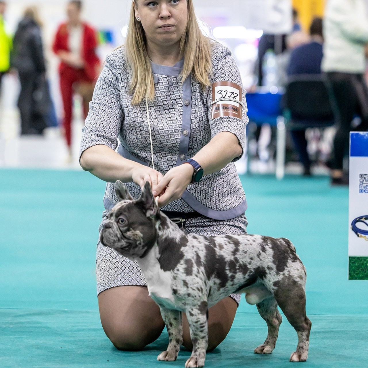 Отзывы. Борис Артамонов фотограф — анималист. Москва
