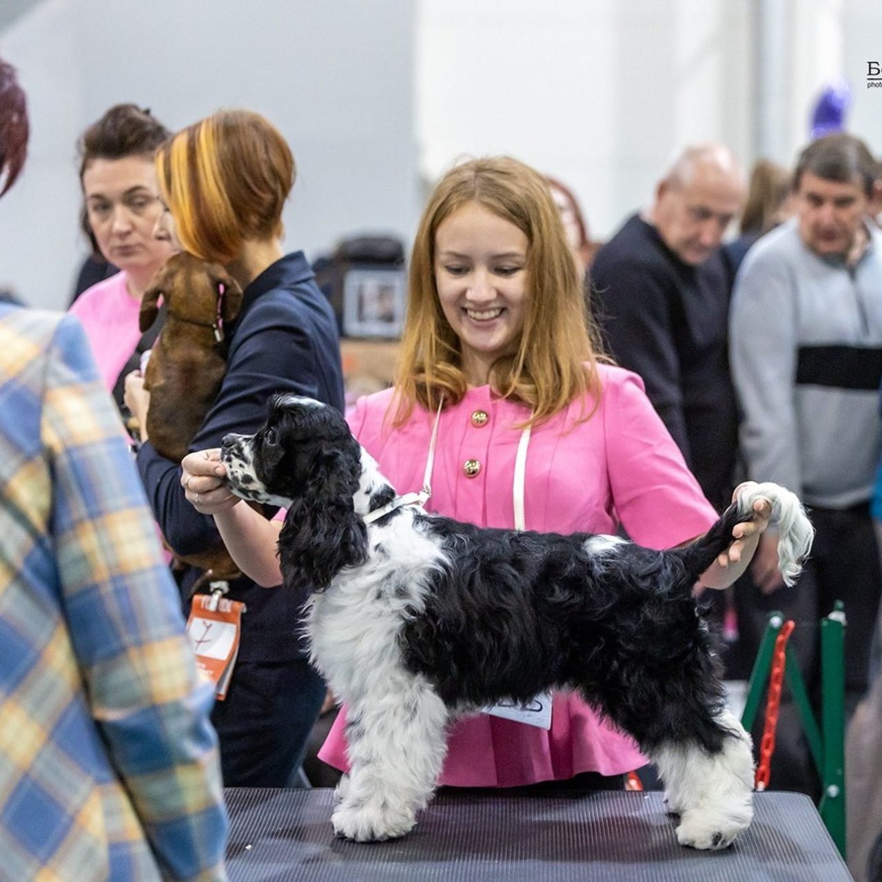 Отзывы. Борис Артамонов фотограф — анималист. Москва