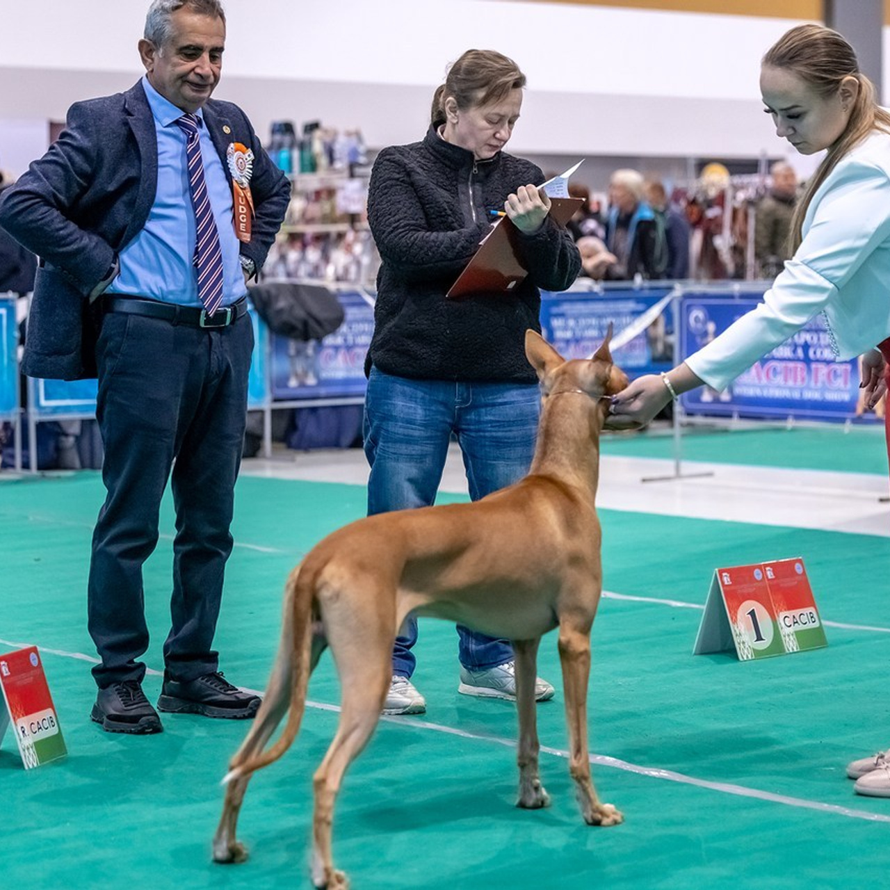 Отзывы. Борис Артамонов фотограф — анималист. Москва