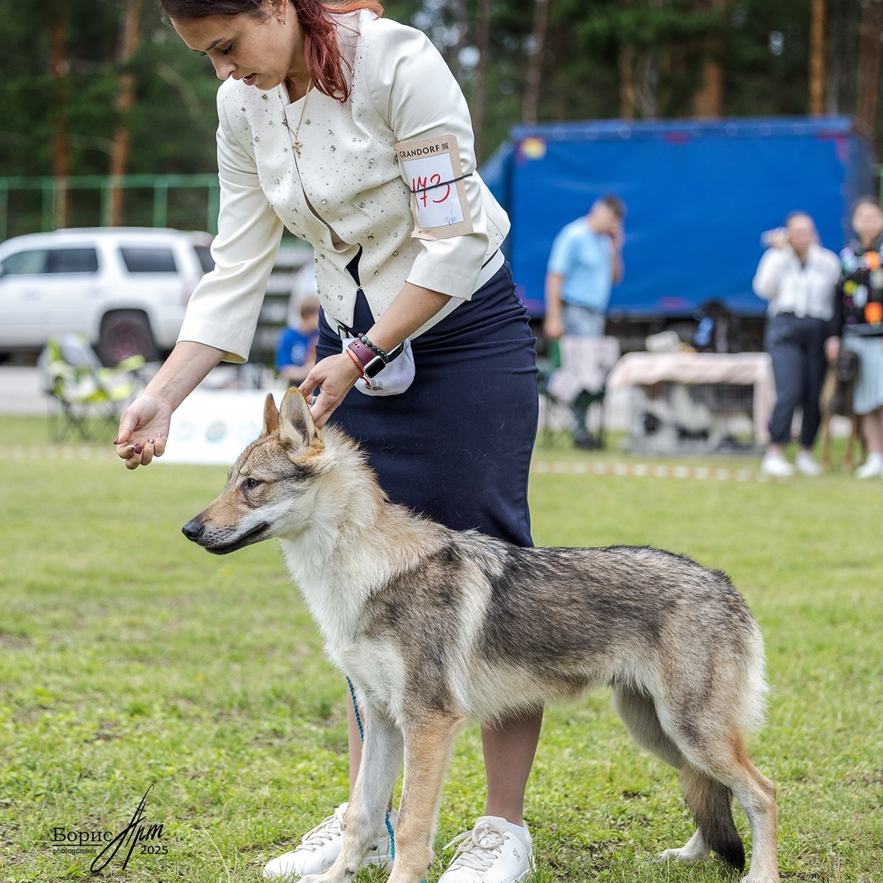 Отзывы. Борис Артамонов фотограф — анималист. Москва
