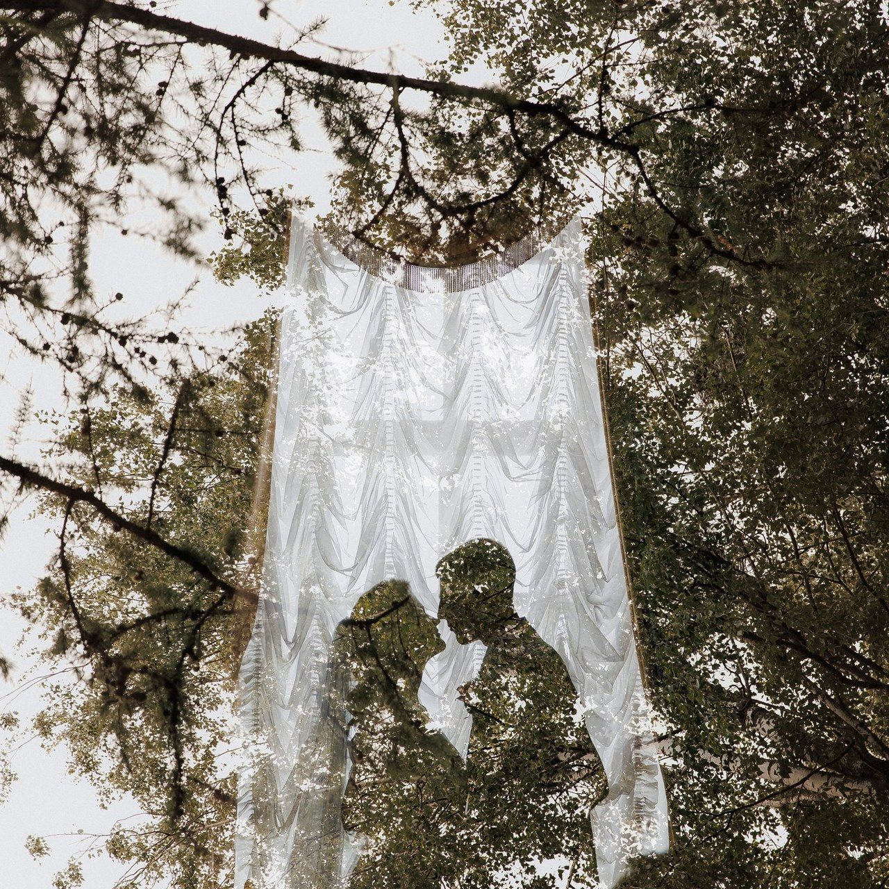 Отзывы. Семейный, свадебный и персональный фотограф в Вологде Виктория Долгопо