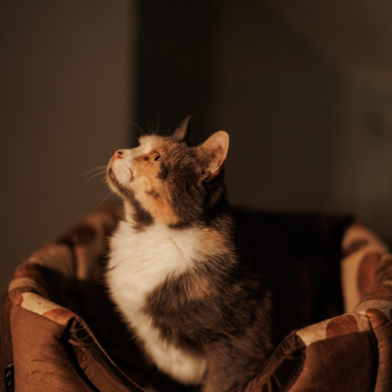 Отзывы. Семейный, свадебный и персональный фотограф в Вологде Виктория Долгопо