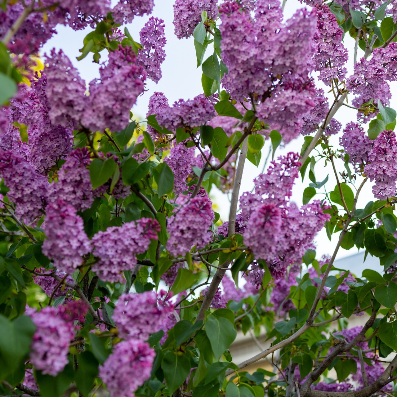 Отзывы. Главная