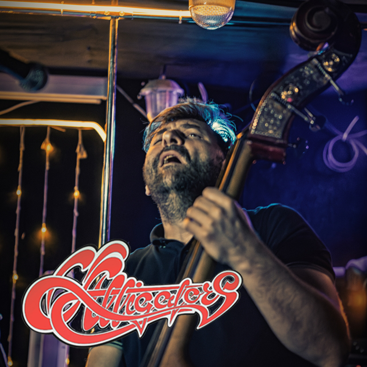 B47 — 356 — Alligators — 2023.05.26