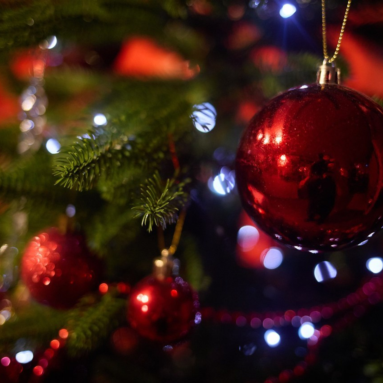 Отзывы. Фотограф Михаил Коган — Москва 89267284460