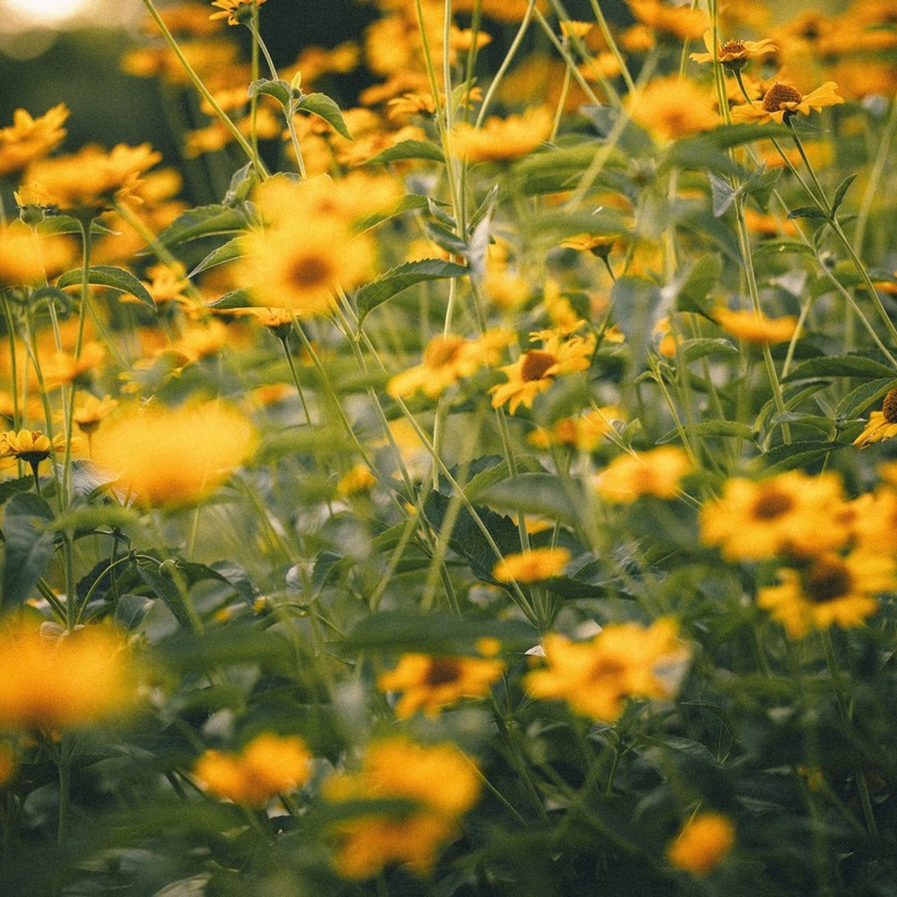 Отзывы. Семейный и детский фотограф в Алматы