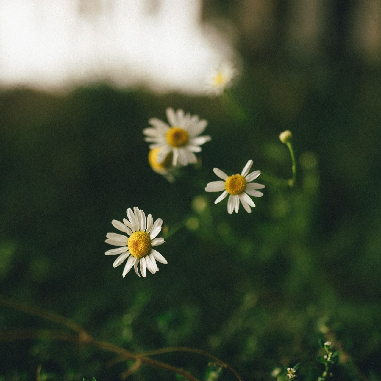 Отзывы. Семейный и детский фотограф в Алматы