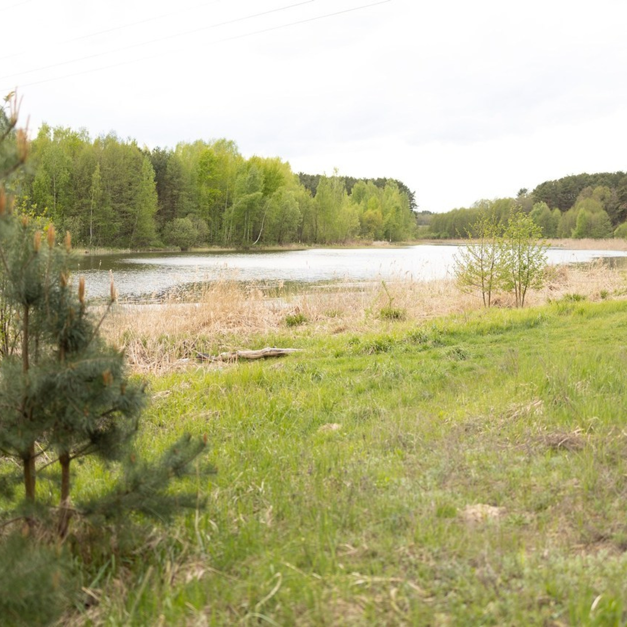 Отзывы. Главная