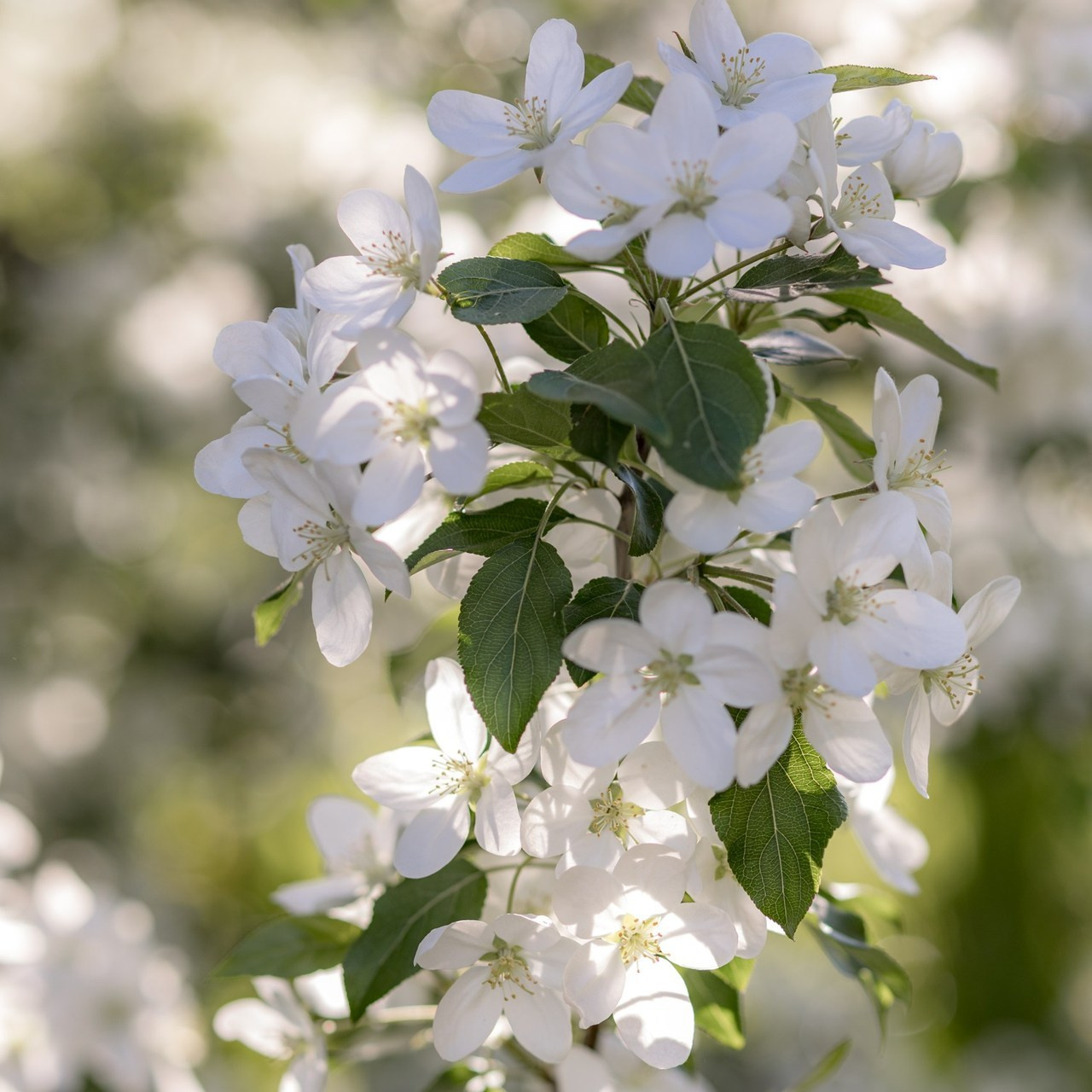 Отзывы. Рисую светом вашу семейную историю фотограф из Перми Александра Камене
