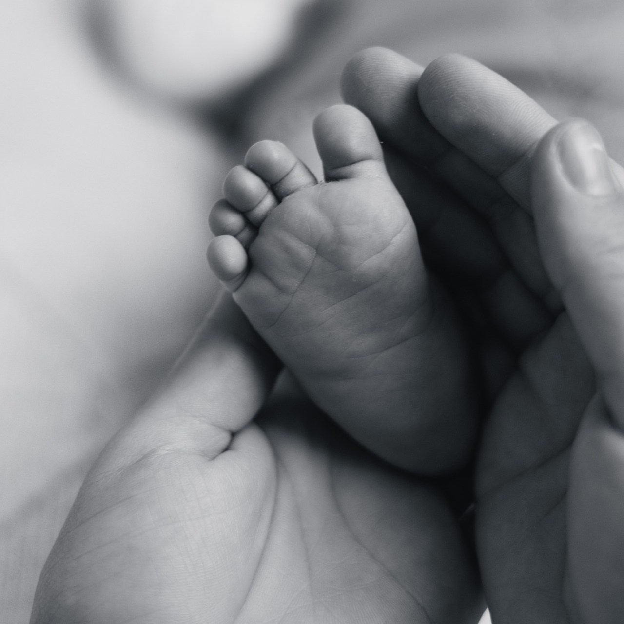 Отзывы. Фотограф Мария Радченко в г. Горячий Ключ