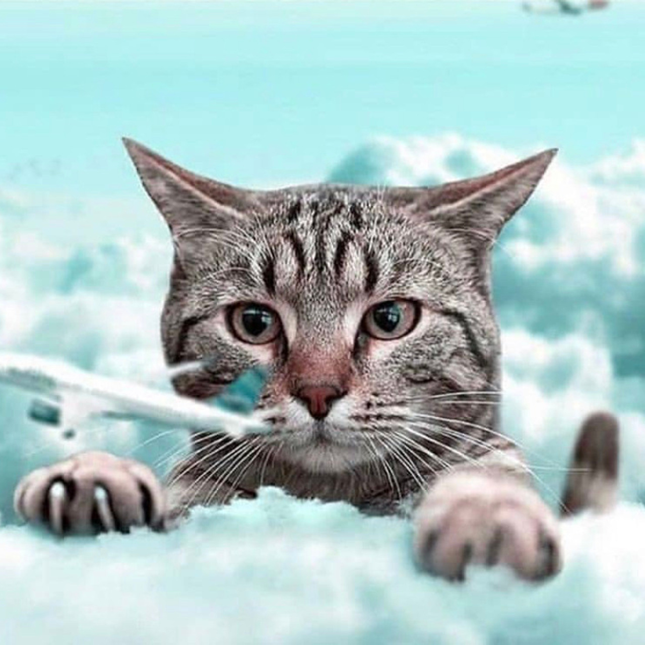 Отзывы. Свадебный, портретный и семейный фотограф Уфа