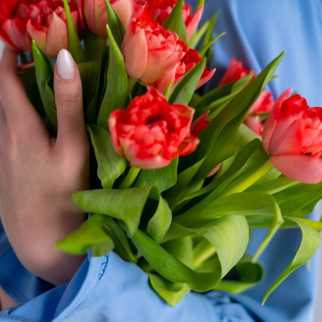 Отзывы. Сайт фотографа Алии Фаттах