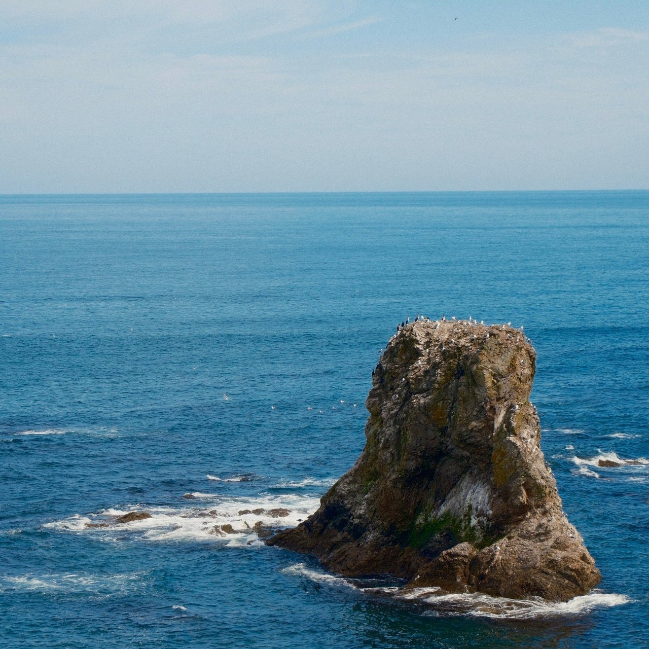 Отзывы. Искусство фотографии