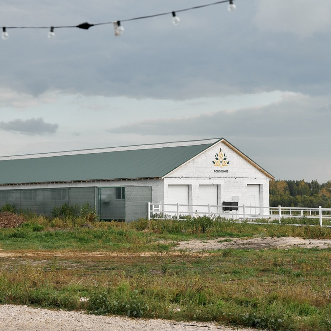 Отзывы. Свадебный и индивидуальный фотограф в Тольятти Благонадеждина Варвара