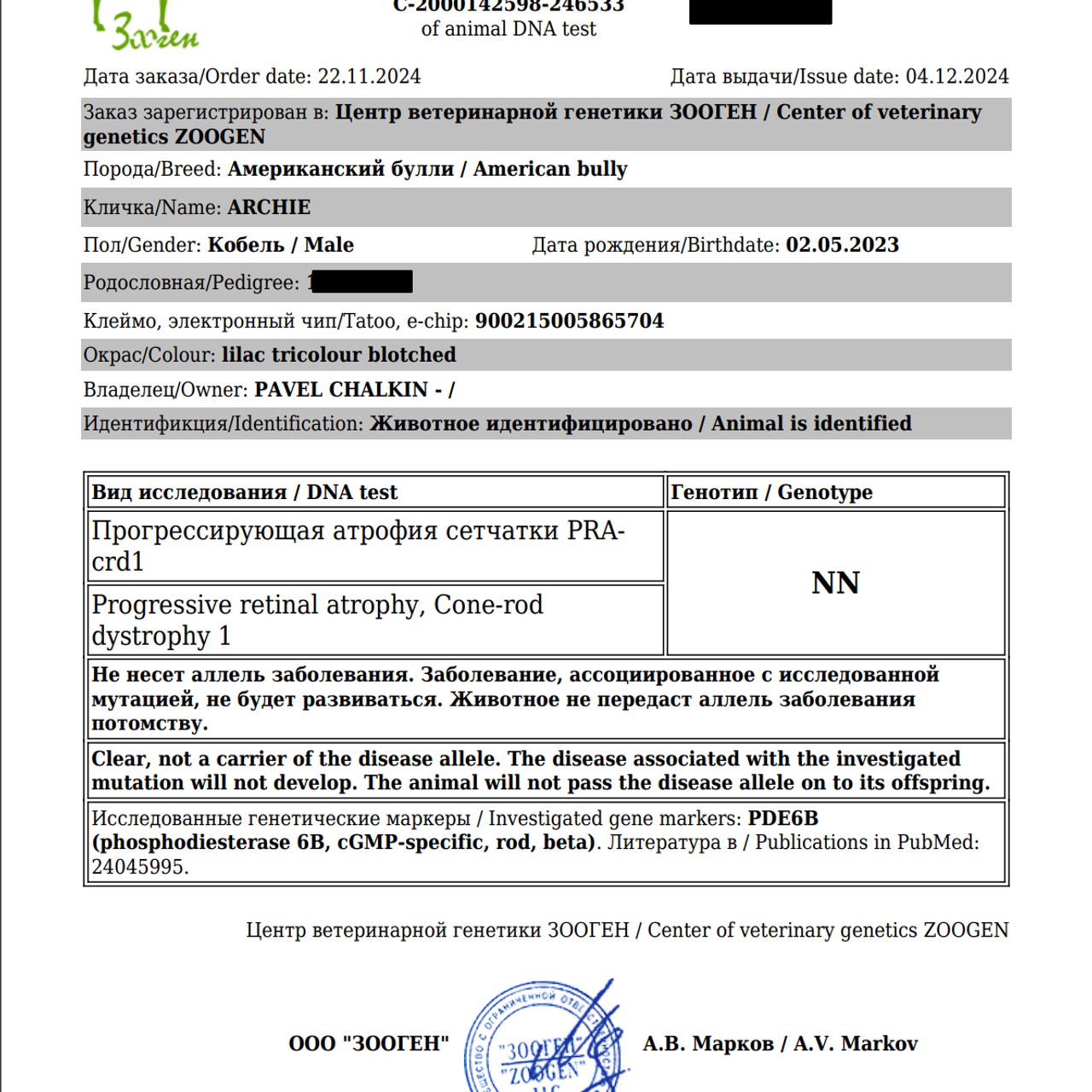 Протеин-теряющая энтеропатия (PLE) у собак | Блог TPOS