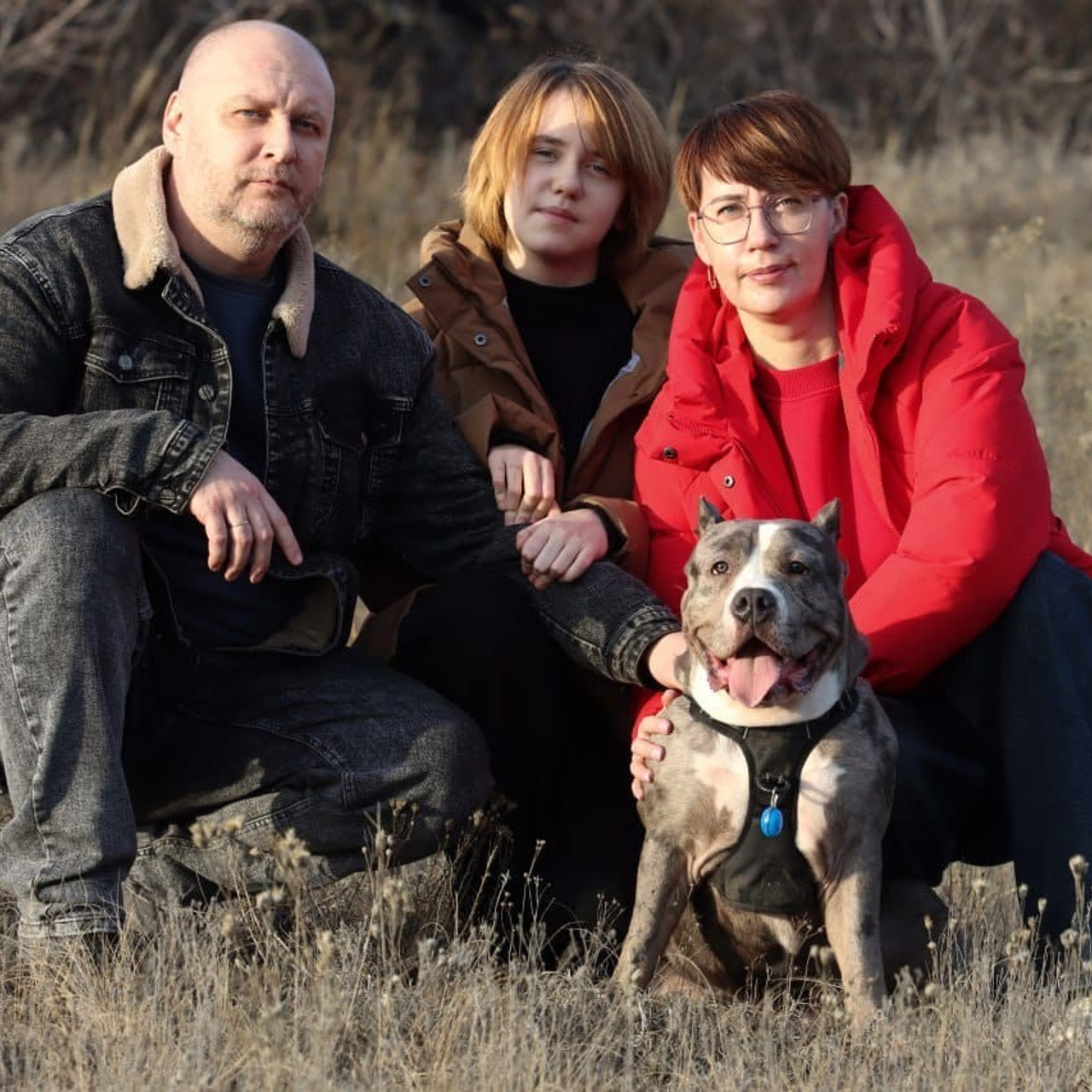 Отзывы о нас. Американский Булли в г. Ростов-на-Дону. Питомник THE POWER OF SIBERIA