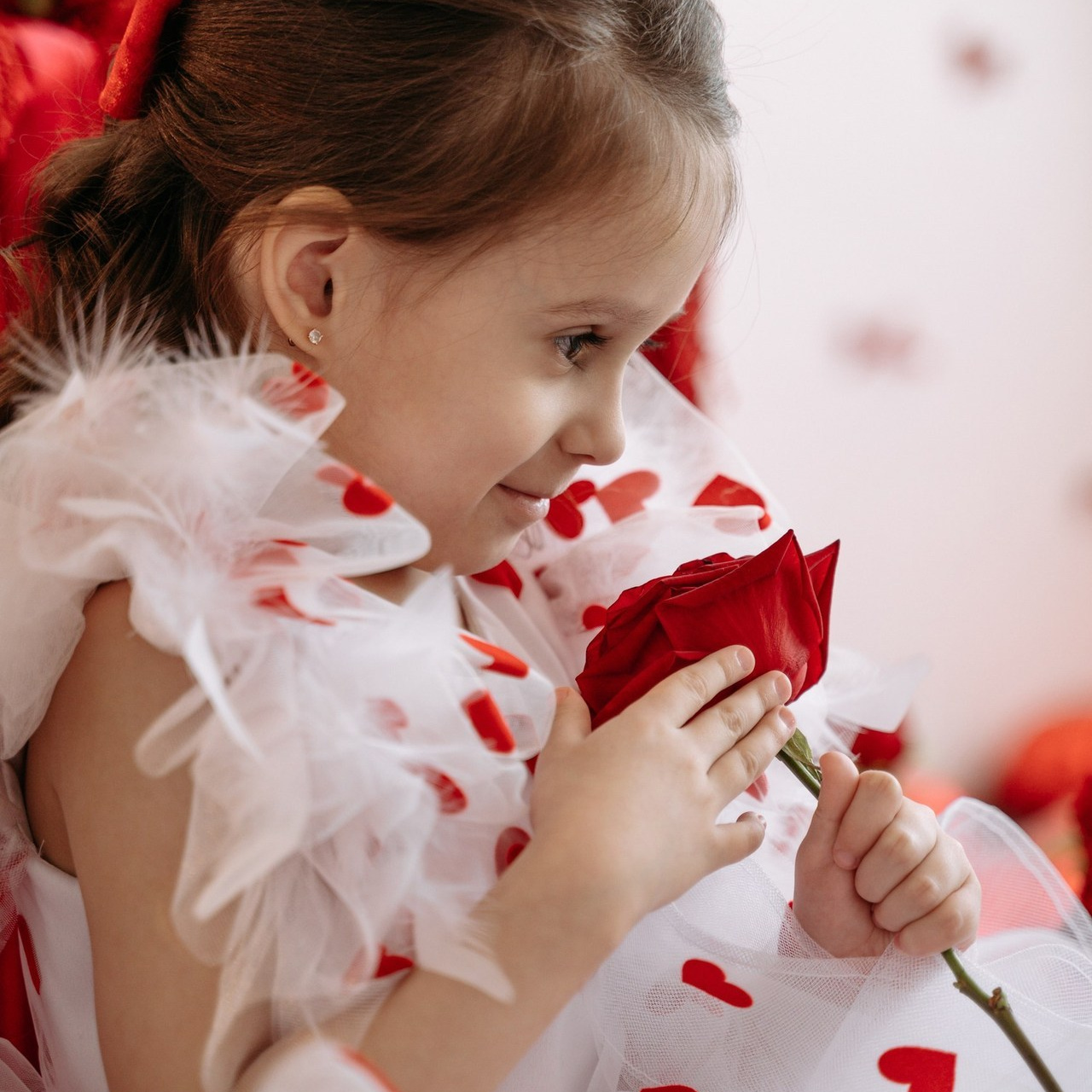 Отзывы. Студия фото-видеографии Тушницких. Тольятти. Самара