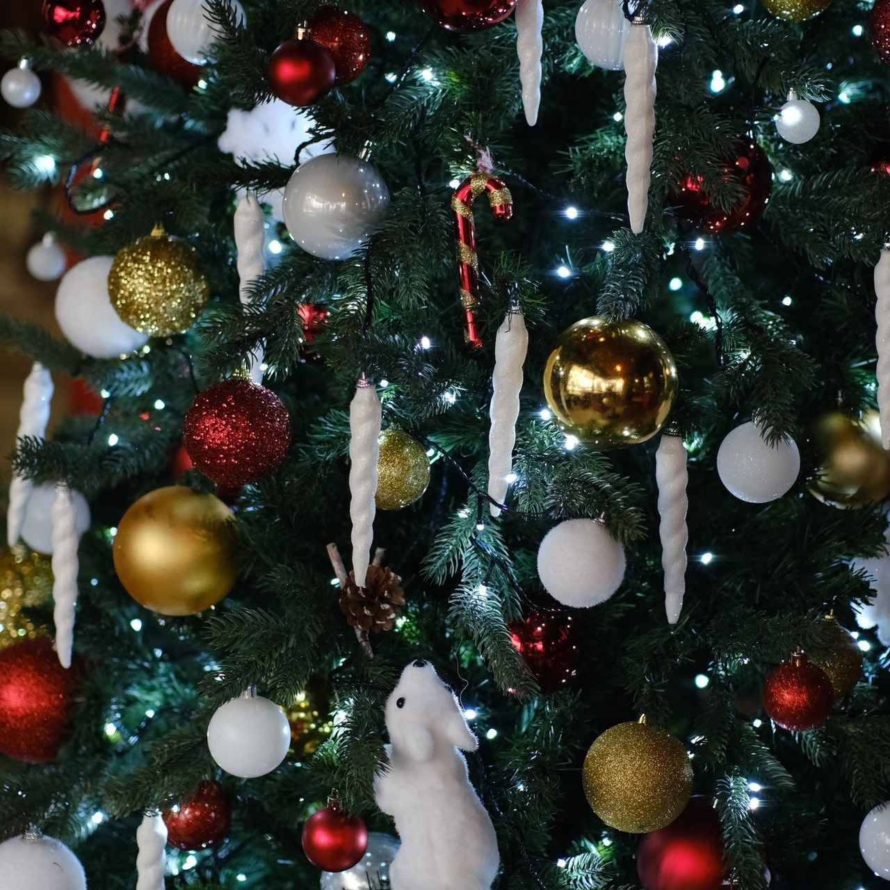 Отзывы. Фотограф Александра Хабарчук