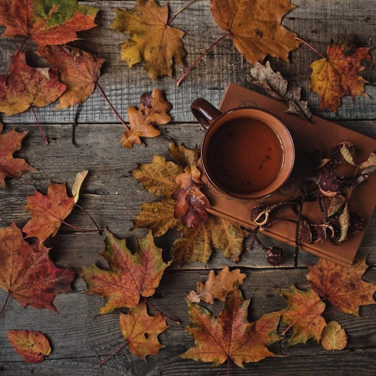 Отзывы. Фотограф в Москве Соколовская Ирина