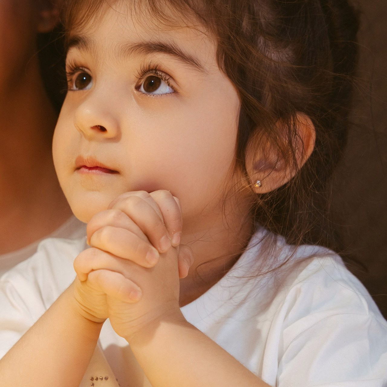 Feedback. Свадебный, репортажный, семейный фотограф Елена Брюхова