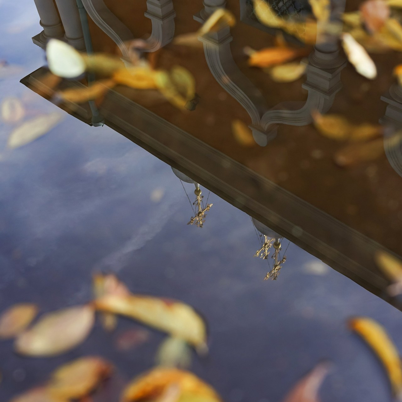 Отзывы. ТВОЙ ФОТОГРАФ — НАСТЯ ФОС