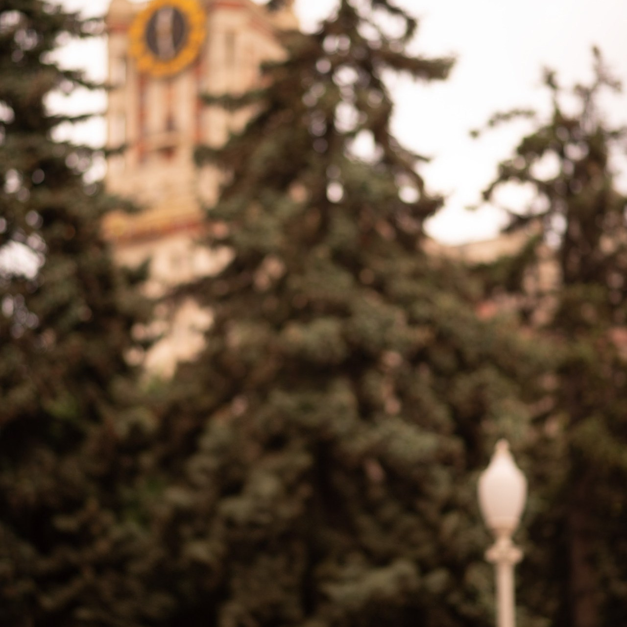 Отзывы. Семейный и детский фотограф в Москве Анна Оськина