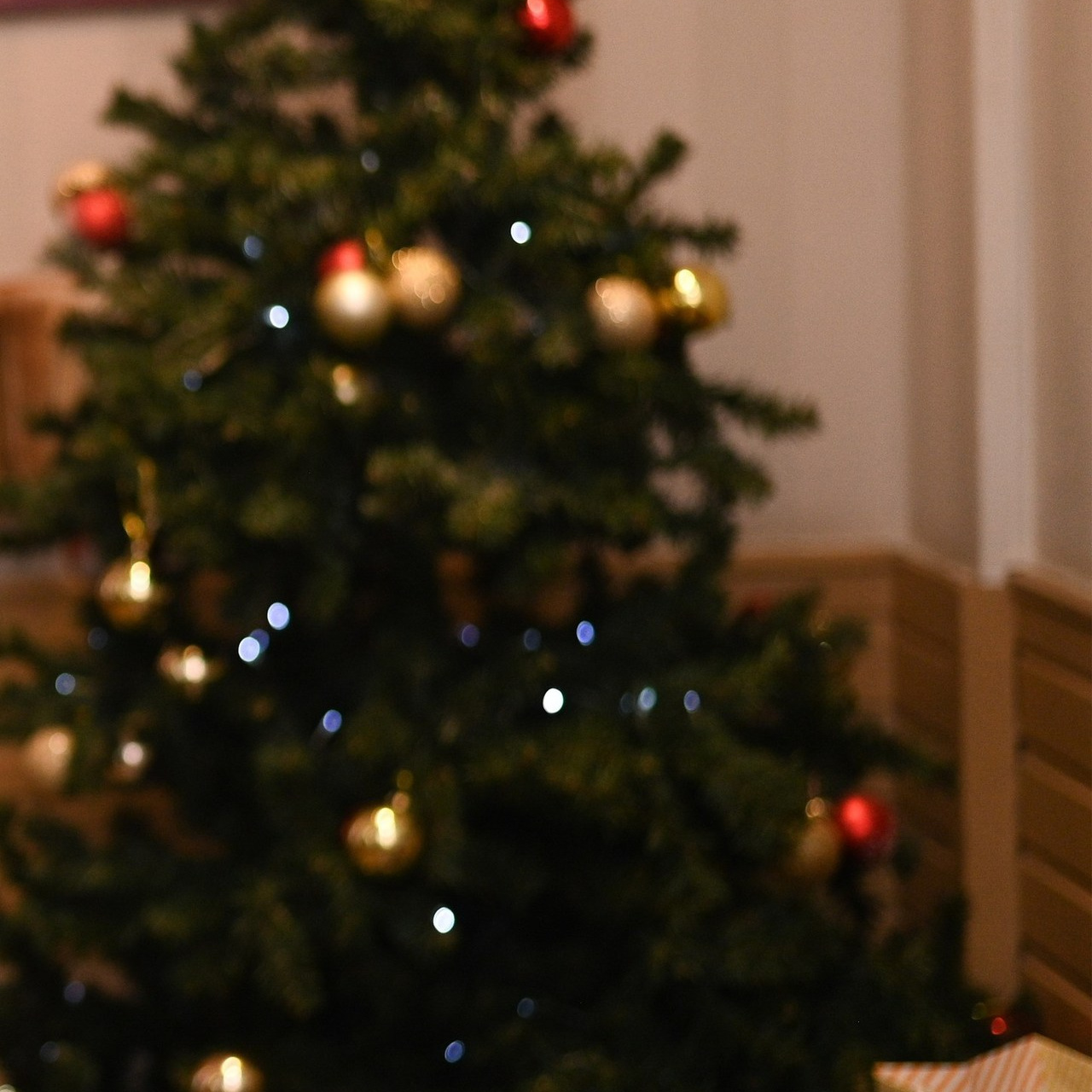 Отзывы. Семейный и детский фотограф в Москве Анна Оськина