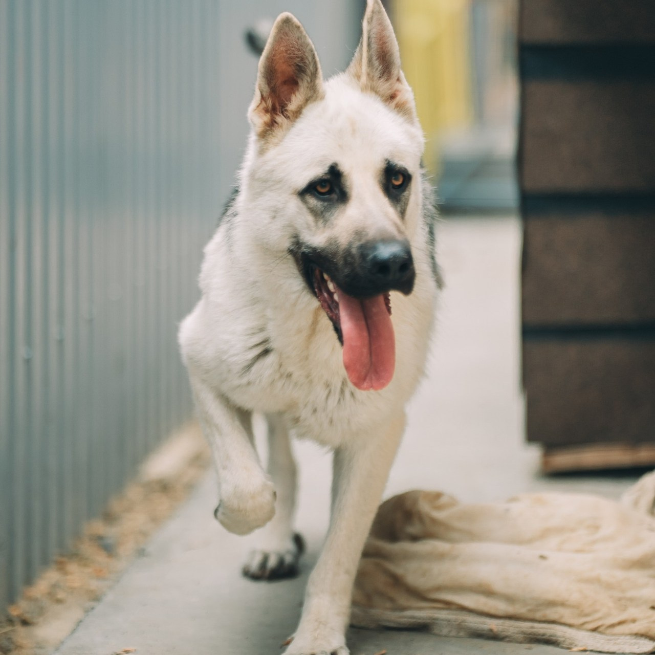 Отзывы. Свадебный и портретный фотограф в Краснодарском крае