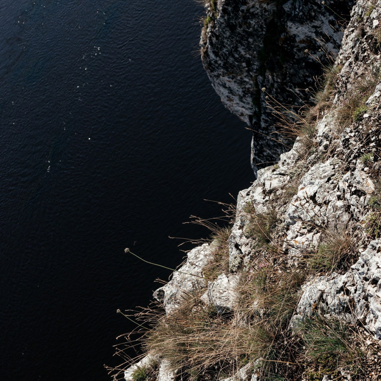 Отзывы. Свадебный и семейный фотограф Анна Печенкина