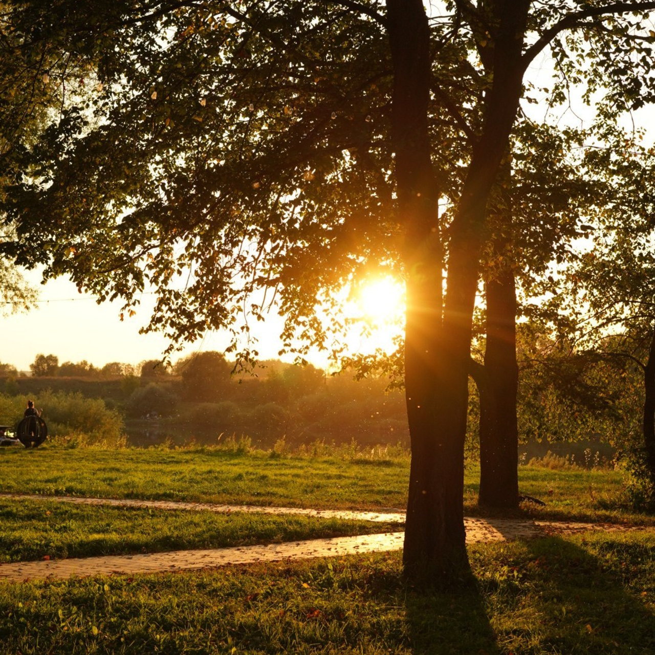 Отзывы. Лиза Фирстова — самый добрый фотограф