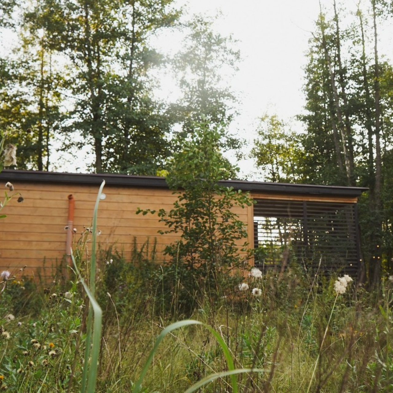 Отзывы. Лиза Фирстова — самый добрый фотограф