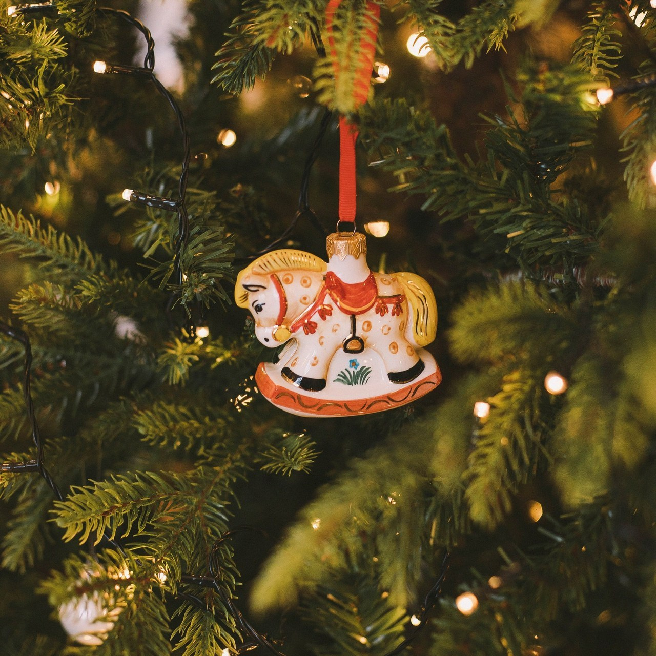 Отзывы. Свадьбы в формате прогулки, индивидуальные и семейные съёмки