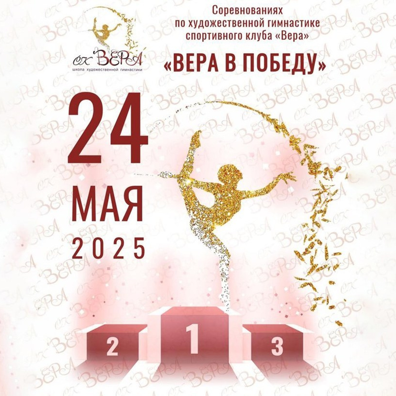 16.11.25 Кубок СК Вера. Спортивный фотограф художественная гимнастика RG Сергей Тарасов