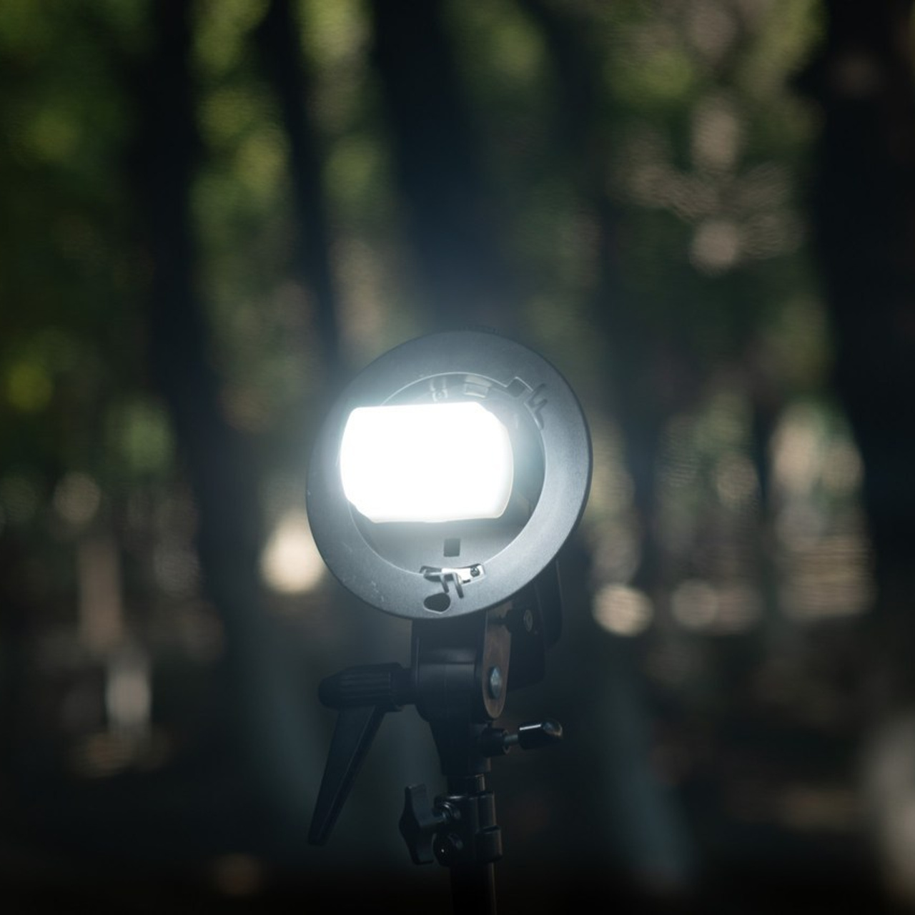 Отзывы. Семейный и детский фотограф в Атырау Доскалиев Ринат